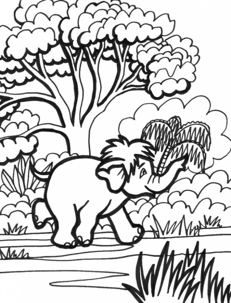 Слон бежит к озеру