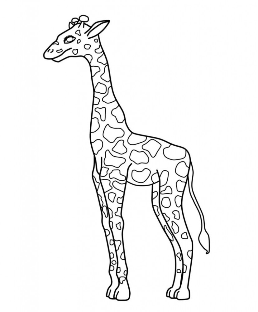 Раскраска с жирафом для детей
