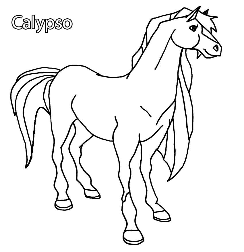 Лошадь Молли — Калипсо
