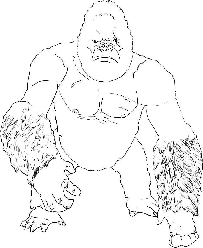 Изображения по запросу Книжка раскраска горилла