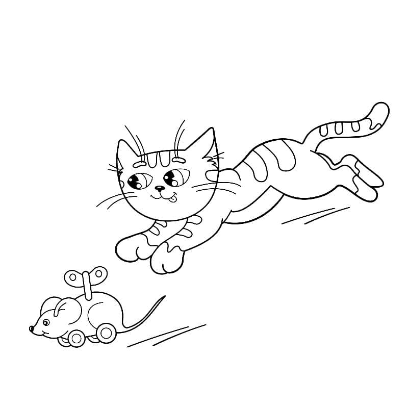 Котенок бежит за игрушечной мышкой