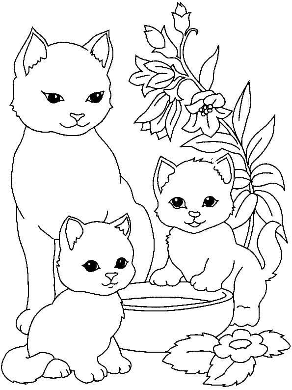 Раскраска очень милый котенок распечатать | Раскраски коты, котята и кошки