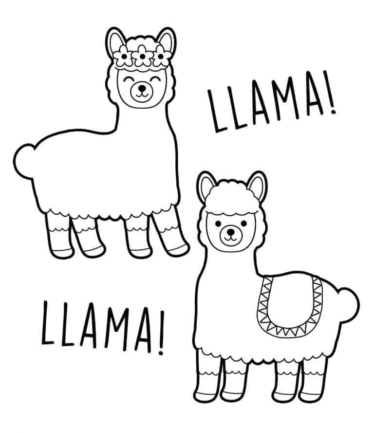 Две ламы