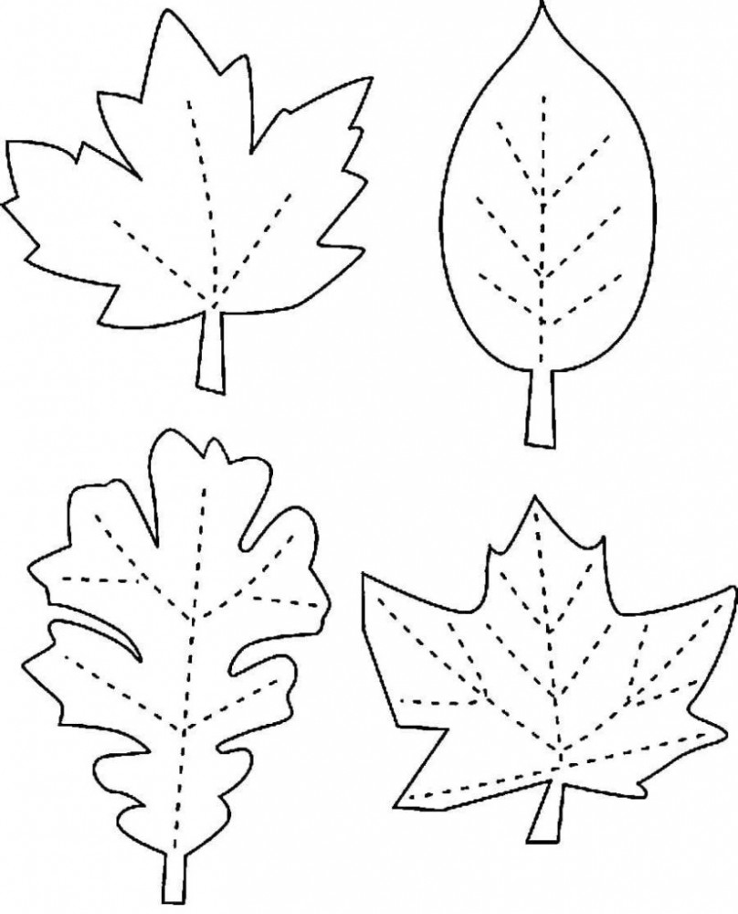 Листья с контурами