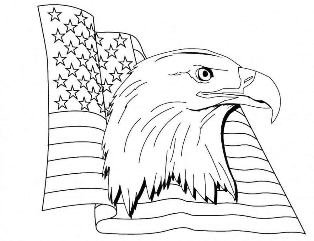 Орел и флаг США