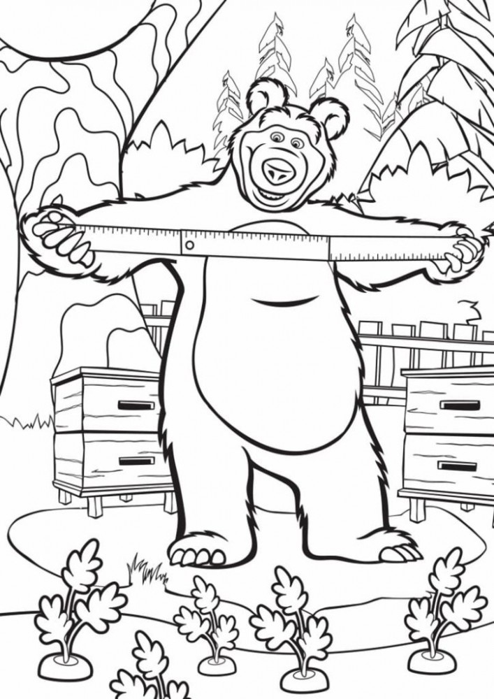 Медведь измеряет размер клумбы