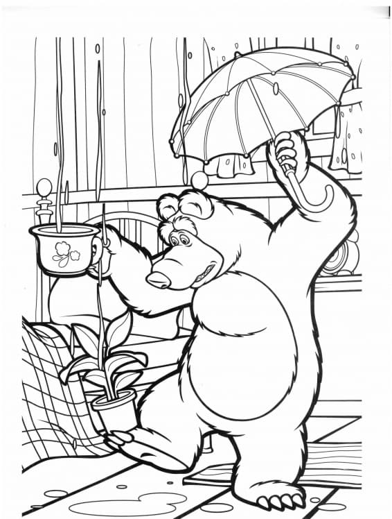 Медведь спасает свое жилище от дождя. Даже зонтик не помогает.