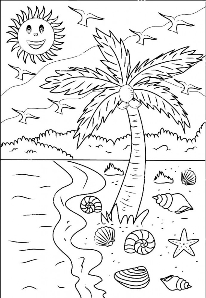 Пальма и ракушки на пляже
