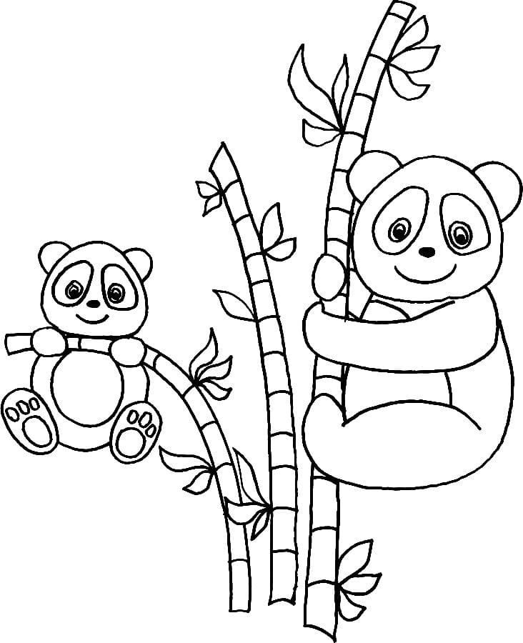 Два панды на бамбуке