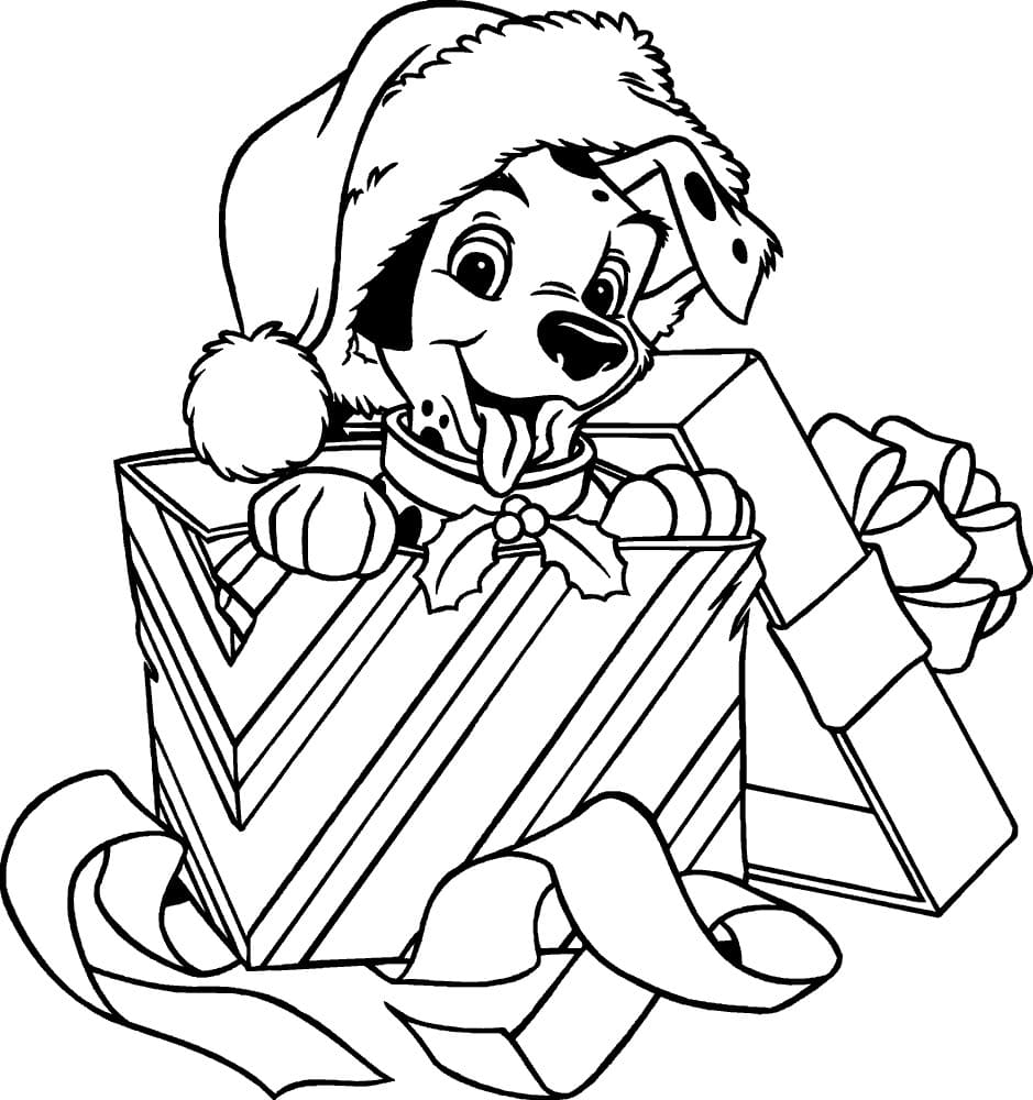 Далматинец в подарочной коробке