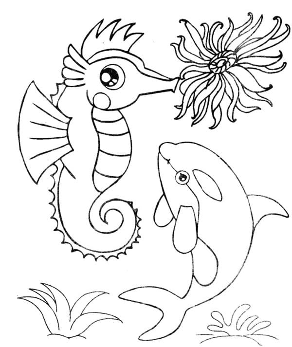 Раскраски морской конек — бесплатные и простые в печати листы
