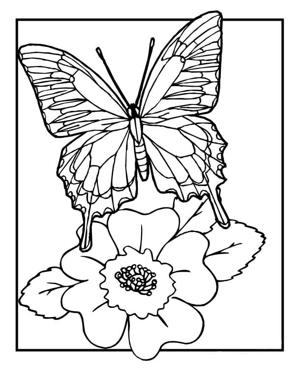 Стоковые векторные изображения по запросу Бабочки и цветы