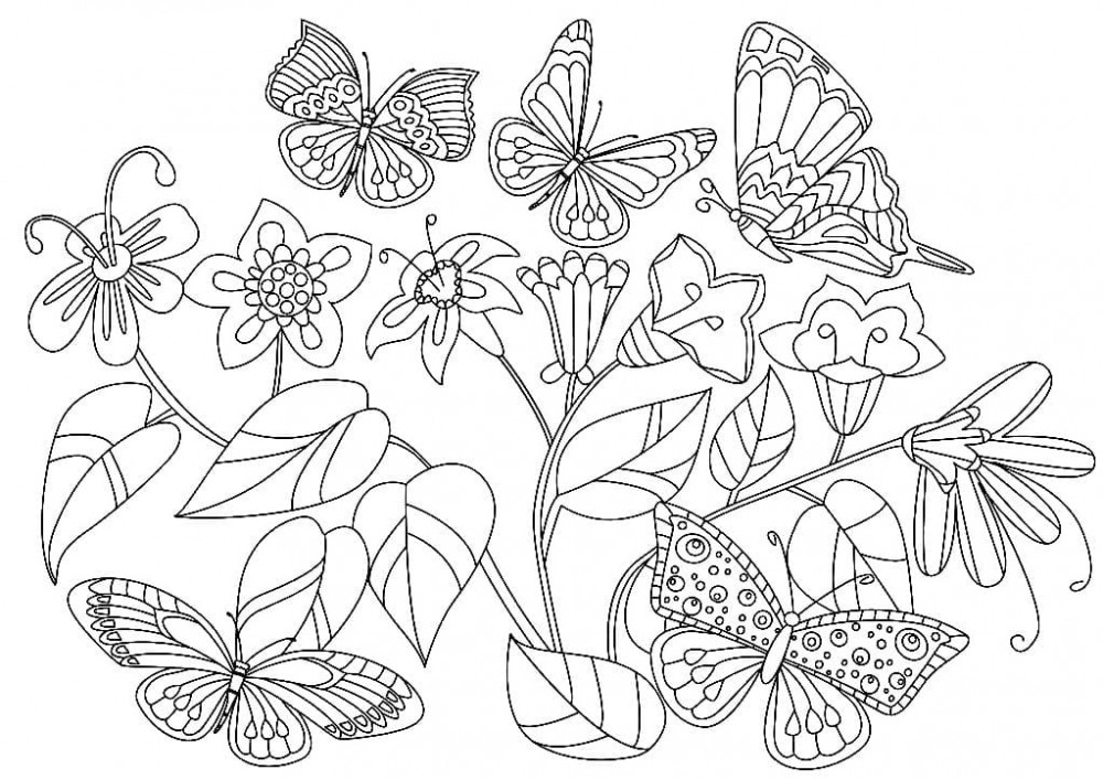 Много бабочек и цветов