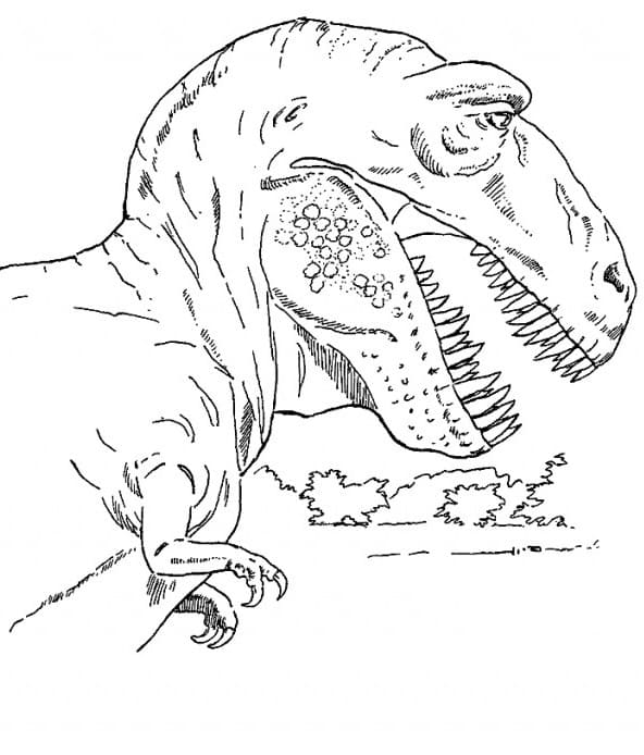 Голова Тираннозавра