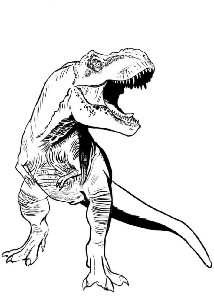 Раскраска Динозавр-хищник: распечатать бесплатно, скачать
