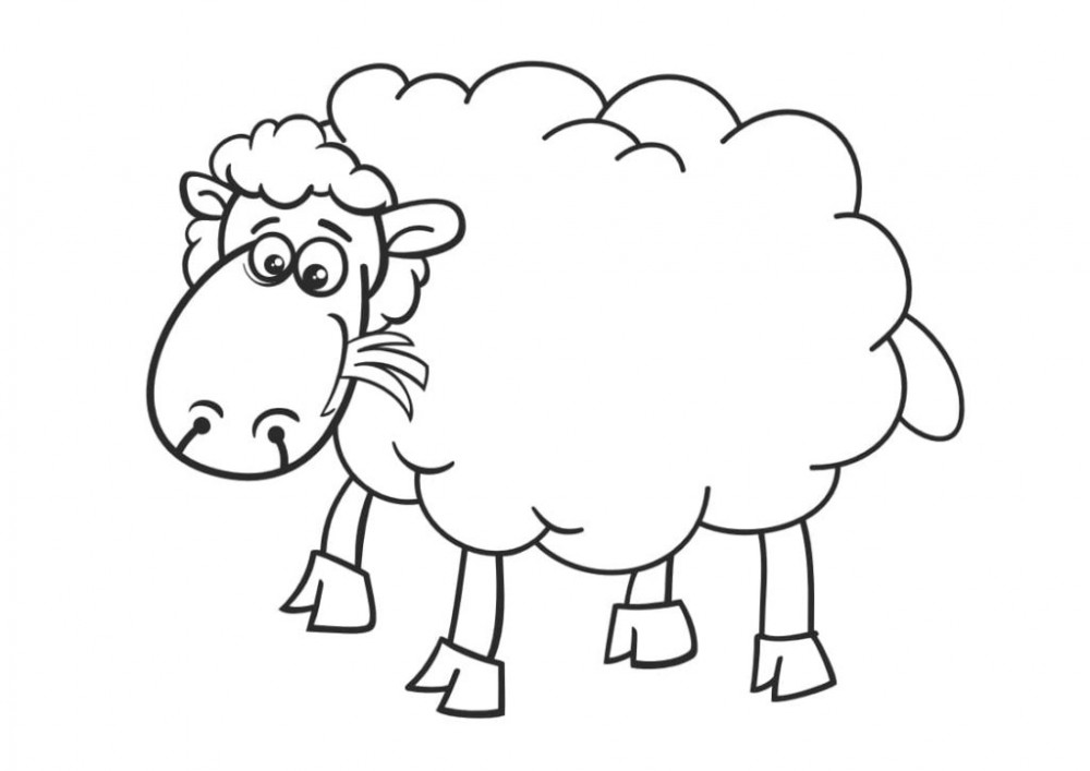 Овца кушает траву