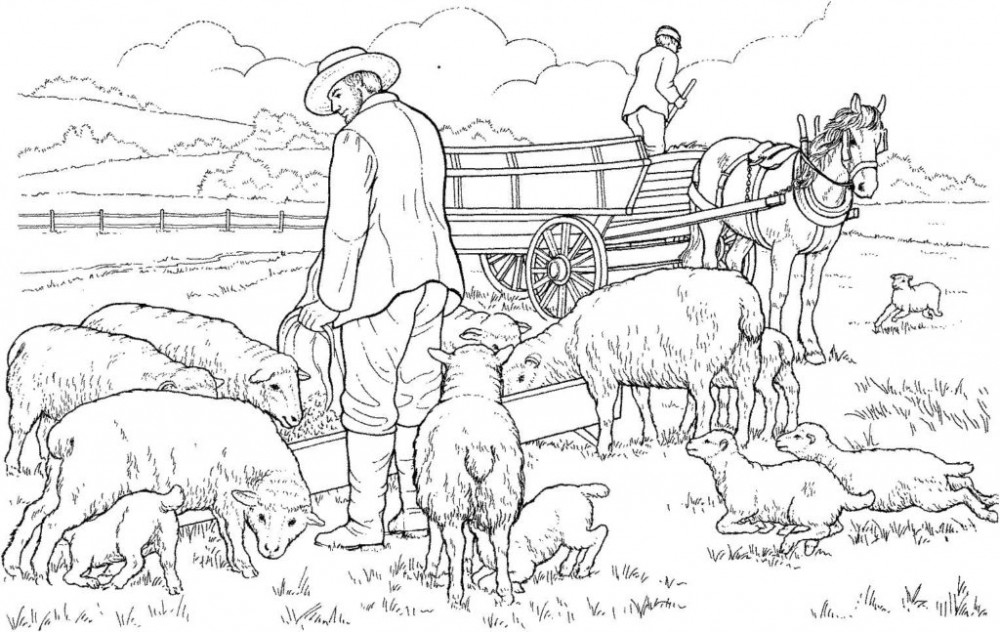 Реалистичная картинка как фермер кормит овец