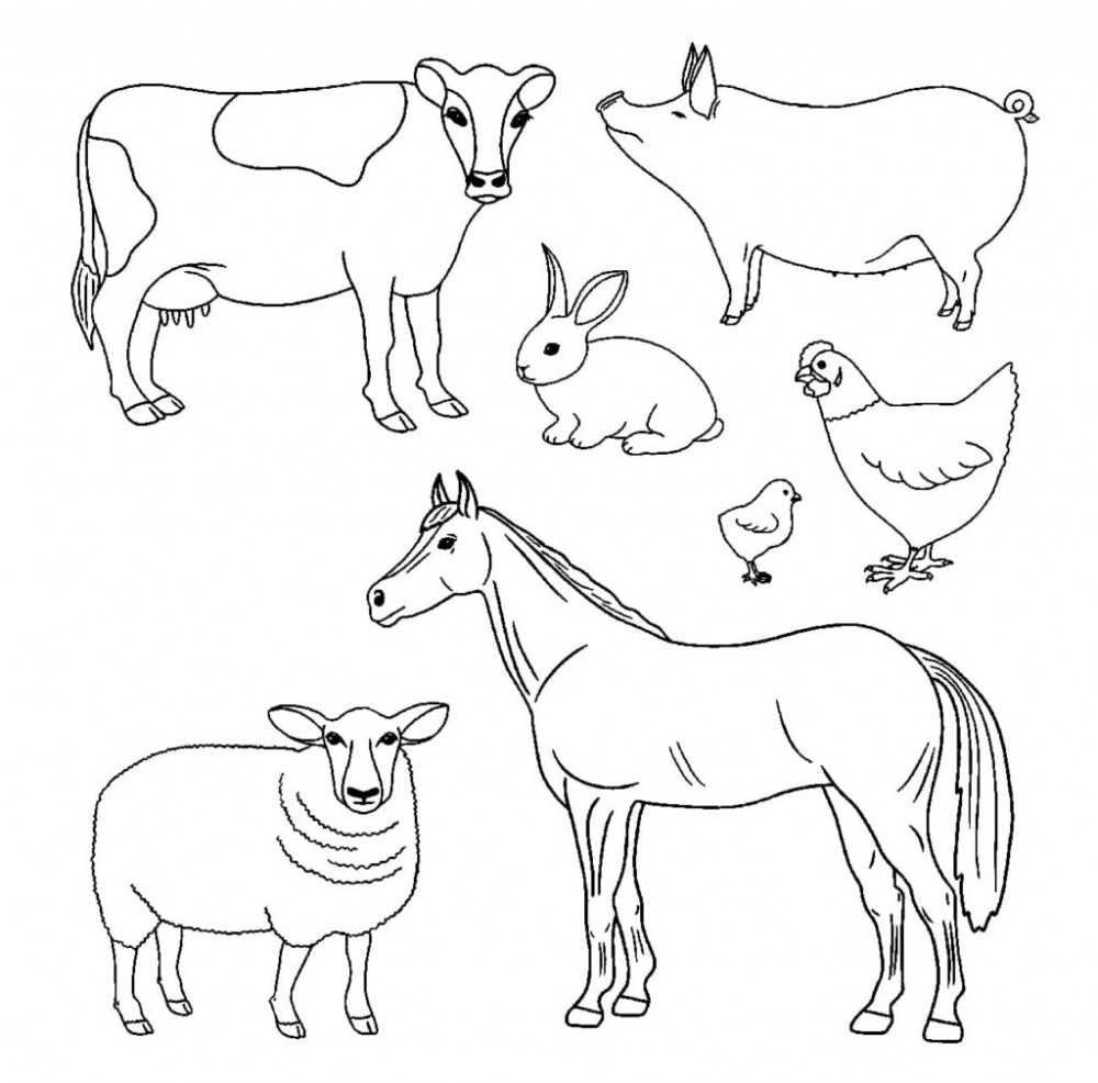 Фермерские животные