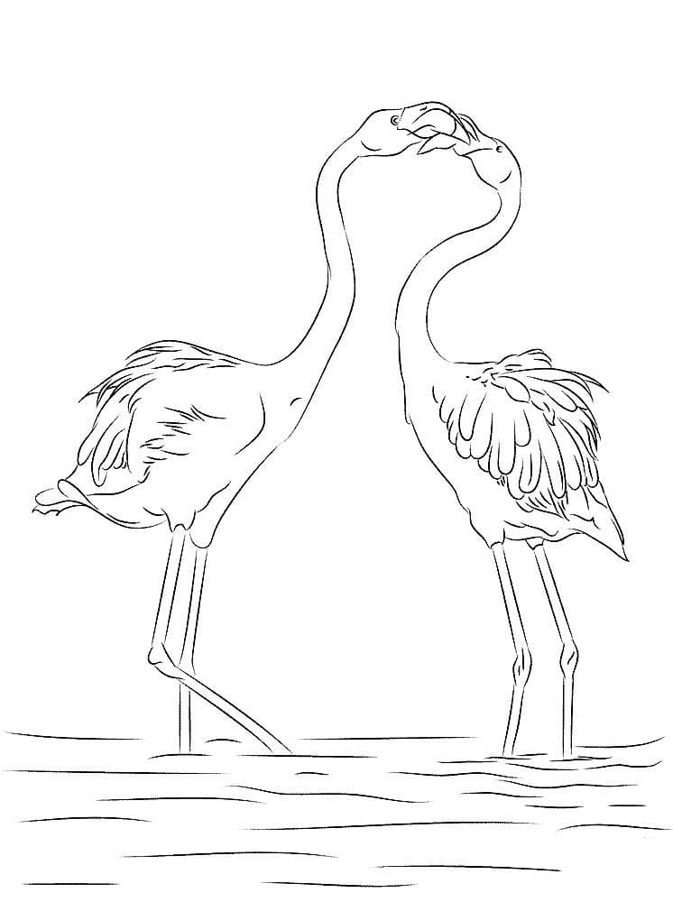 Два фламинго на озере в саванне