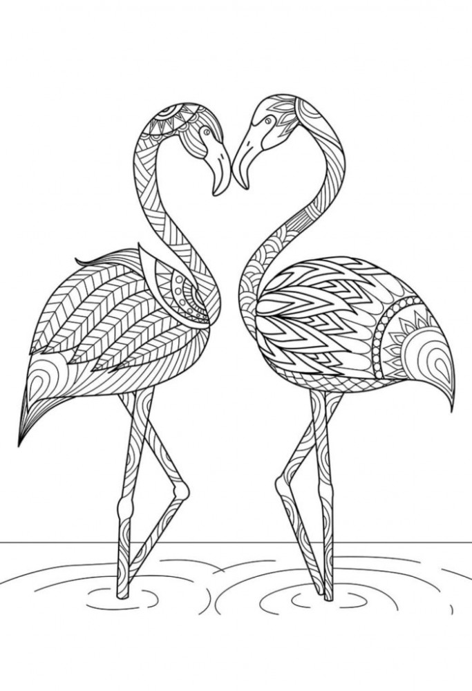 Два фламинго образуют сердце