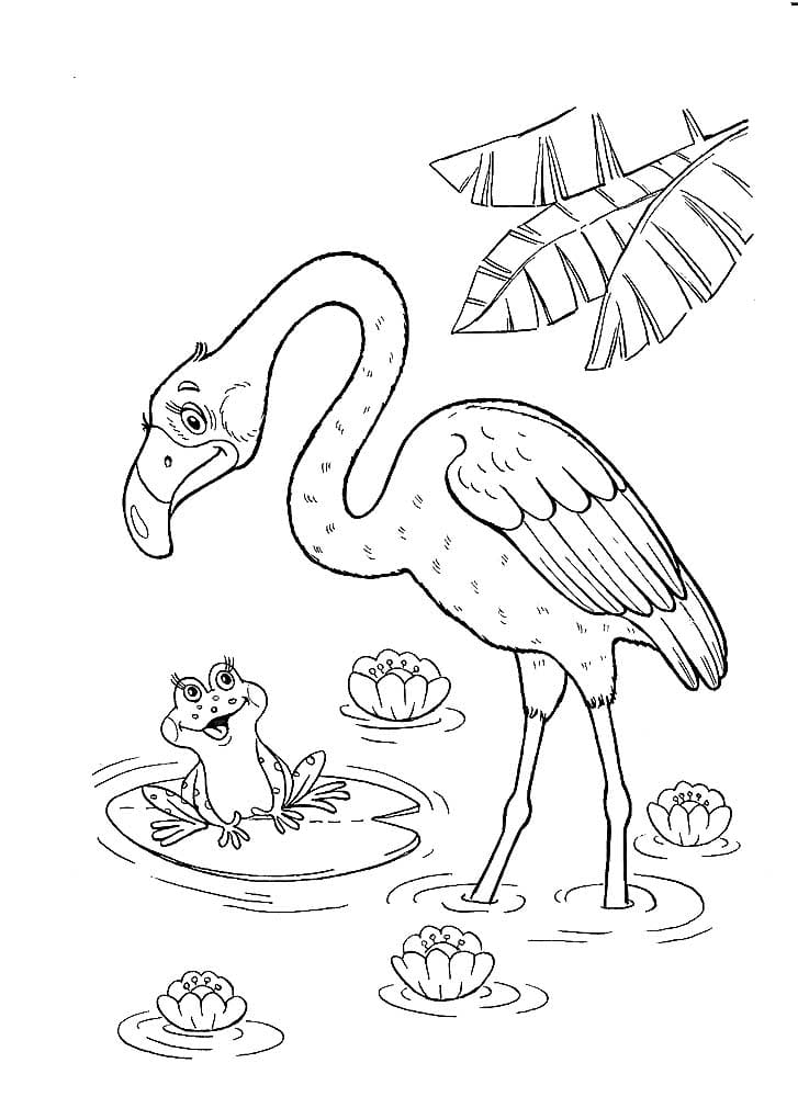 Фламинго и лягушка в пруду