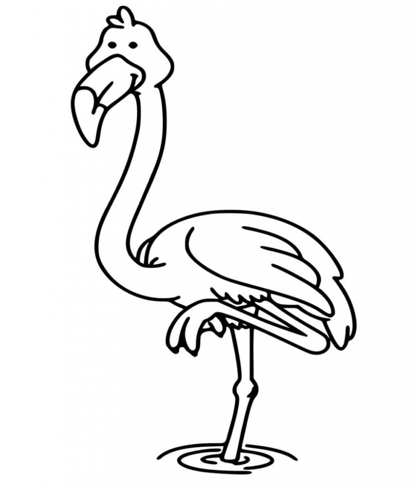 Фламинго стоит на одной ноге