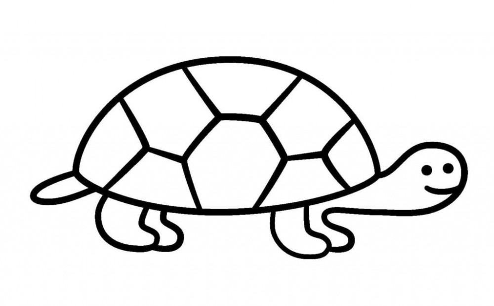 Черепаха для малышей