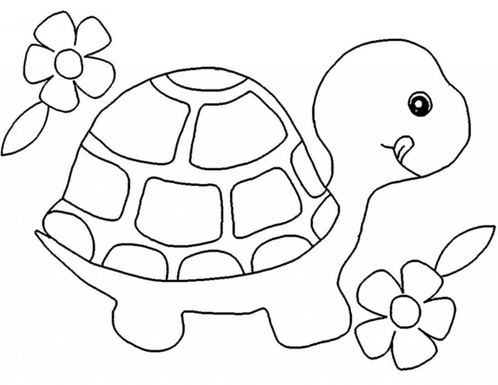 Черепаха и цветы