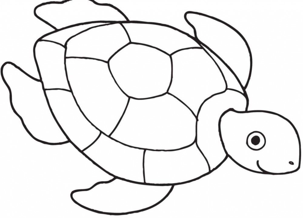 Черепаха плывет