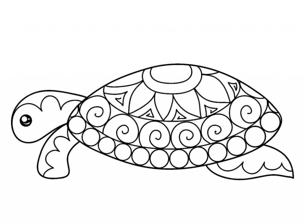 Черепаха с красивым панцирем