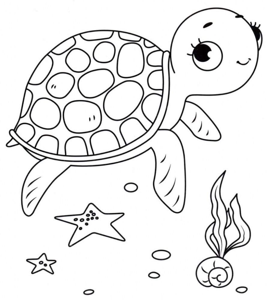 Turtle | Coloring book for children and adults: 36 coloring pages