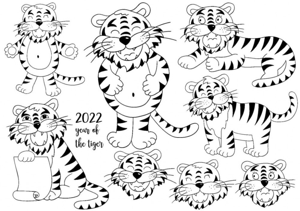 Тигр 2022 раскраска