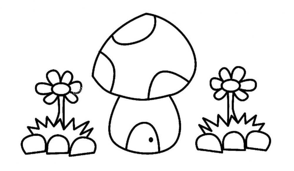 Цветы и гриб