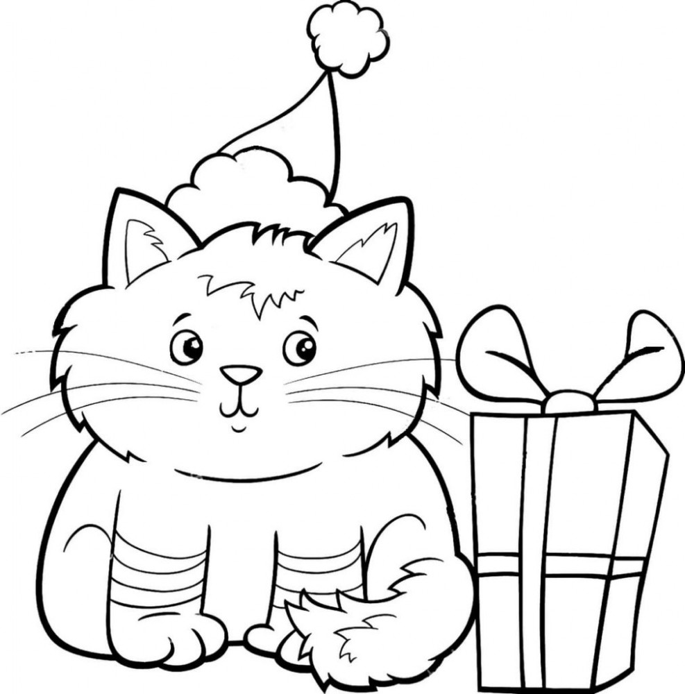 Котенок смотрит на подарок