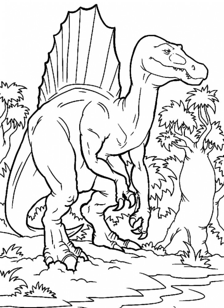 Раскраска Спинозавр | Раскраски динозавры