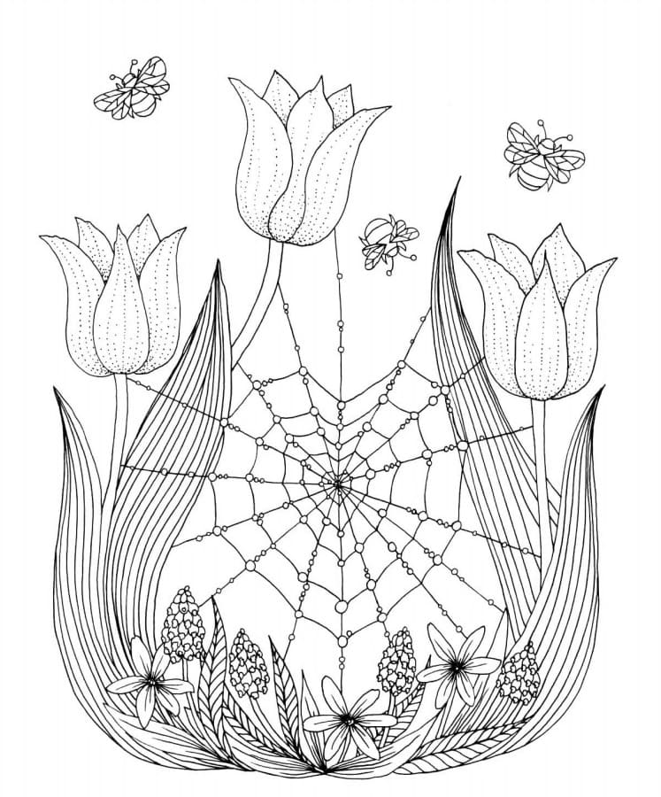 Цветы и паутина