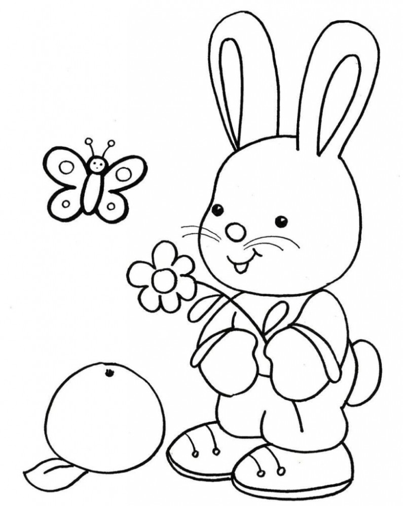 Заяц и бабочка