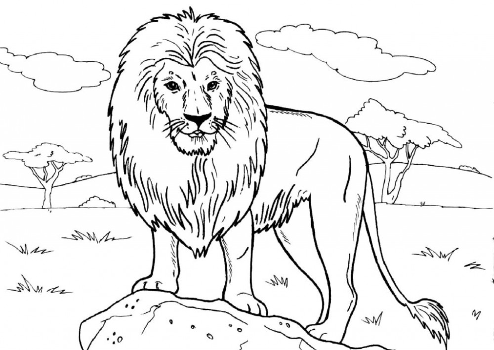 Раскраска Лев в короне