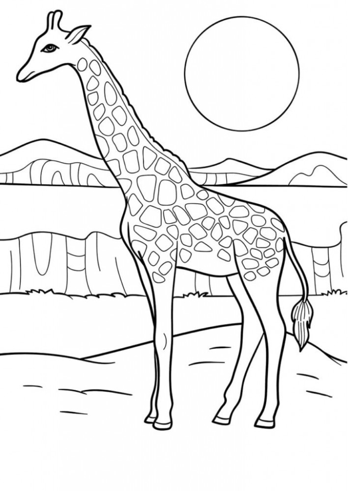 Жираф на фоне солнца