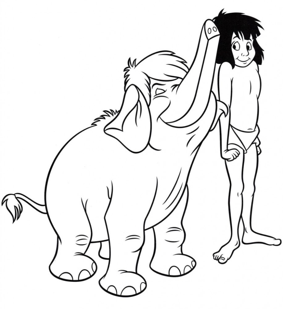 Слоненок поблагодарил Маугли за спасение