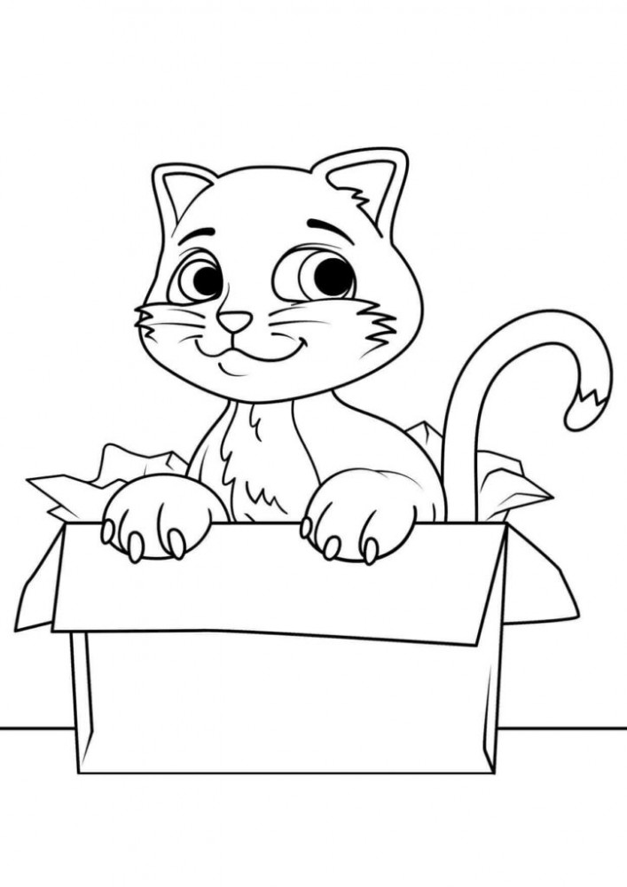 Молодой котик в коробке
