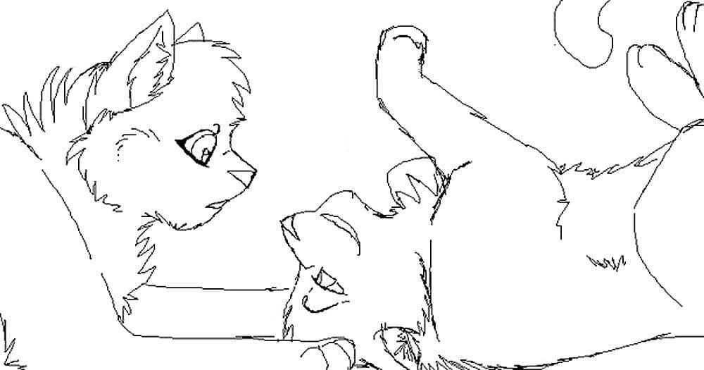 Раскраски Коты Воители. 90 Бесплатных раскрасок для печати