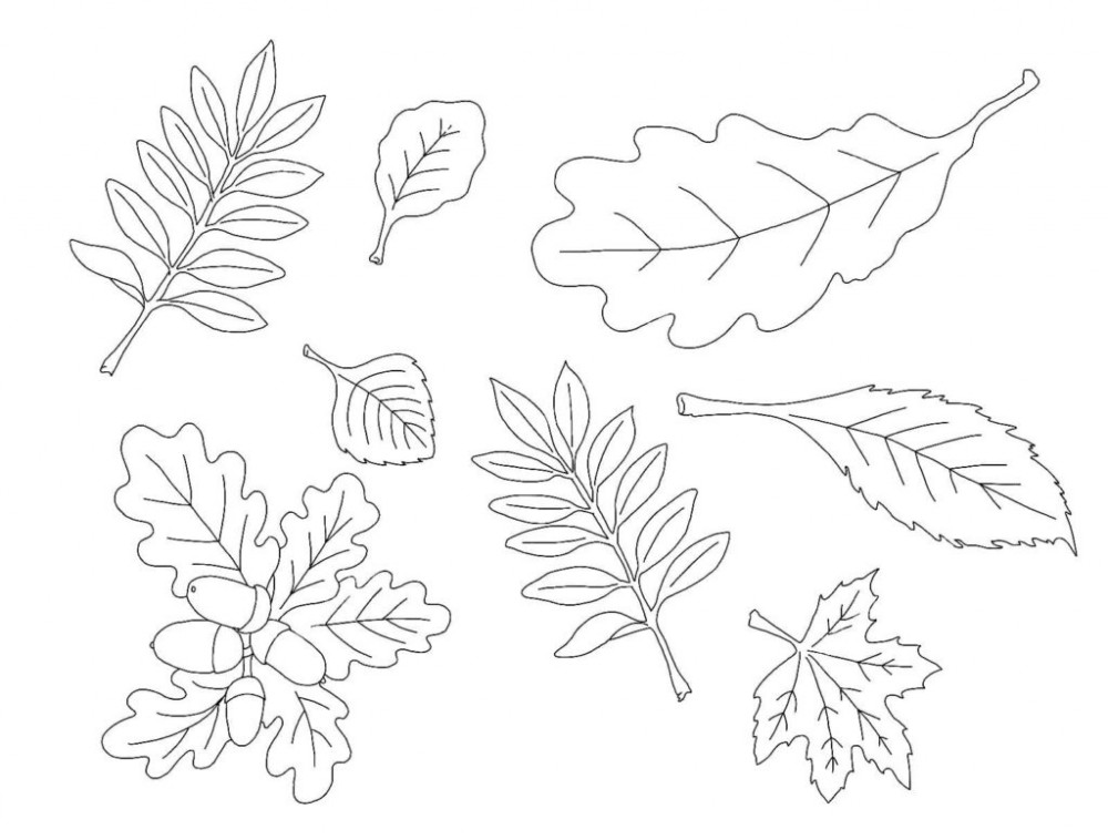 Много листьев на одной картинке