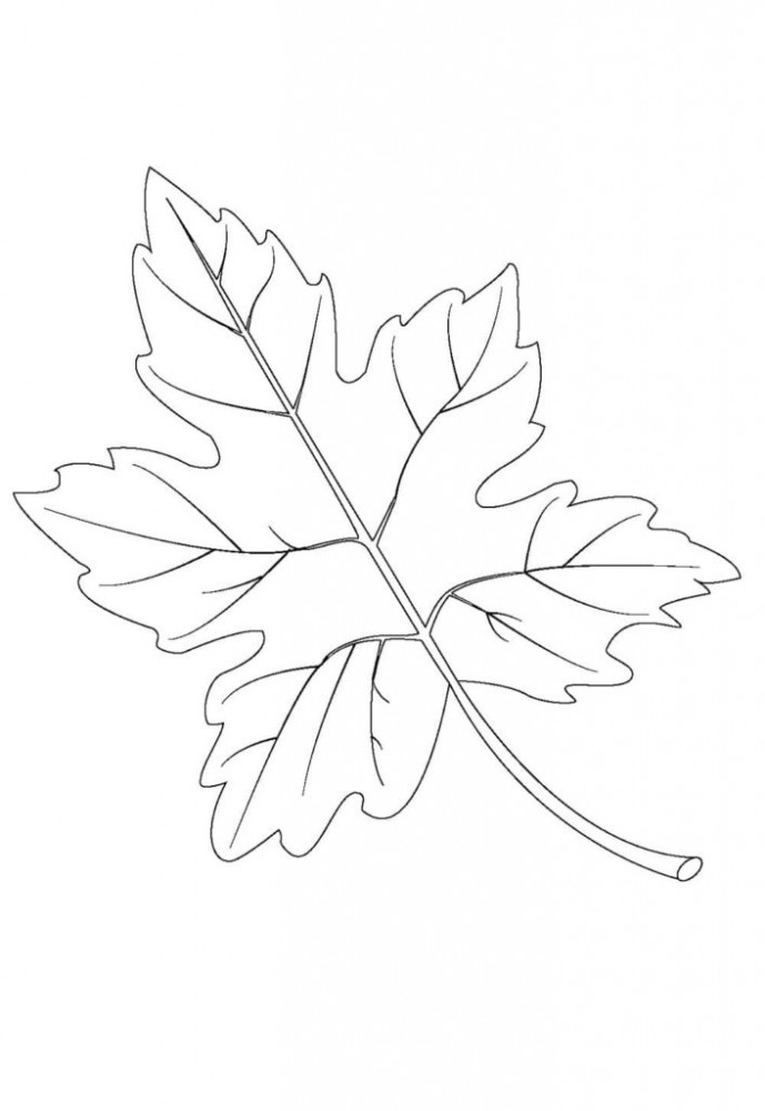 Раскраска осенний лист