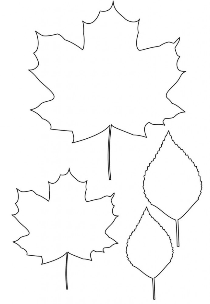 Шаблон кленовых листьев