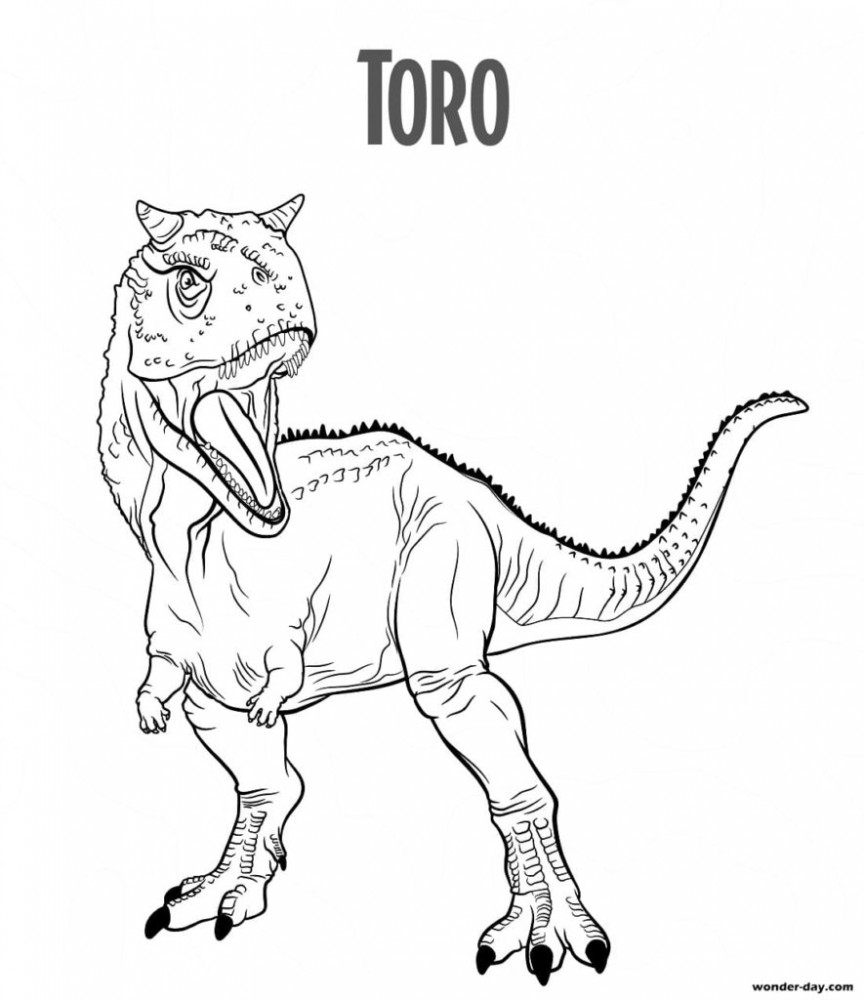 Торо