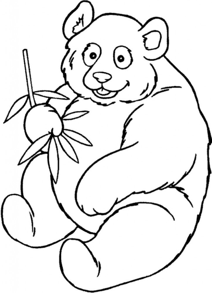 Гигантская панда ест бамбук