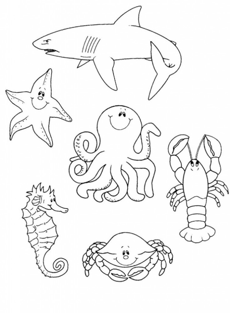 Акула, морская звезда, осьминог, рак, морской коне и краб на одной картинке
