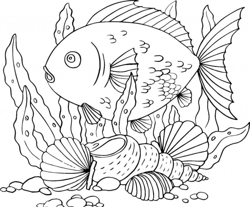 Раскраска рыбки водоросли ракушки