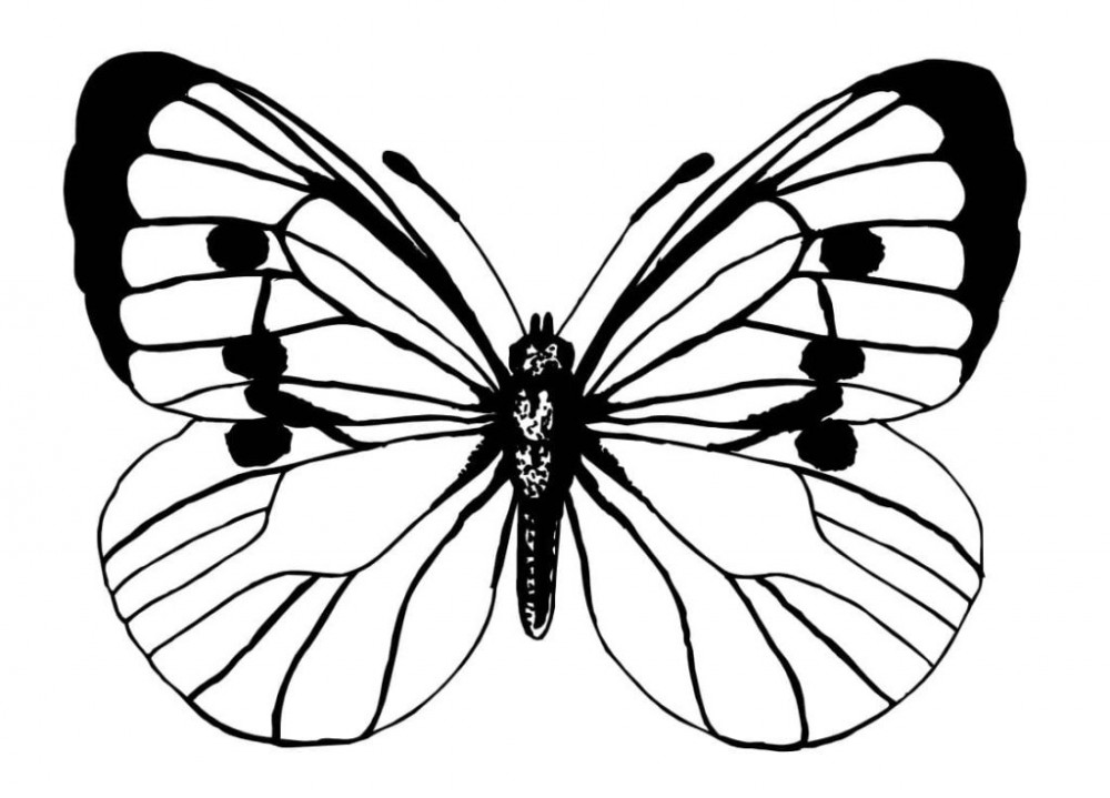 Бабочка с пятнышками